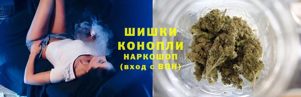 СК Богородицк