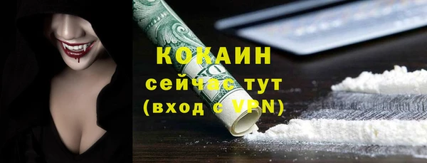 соль ск Богданович