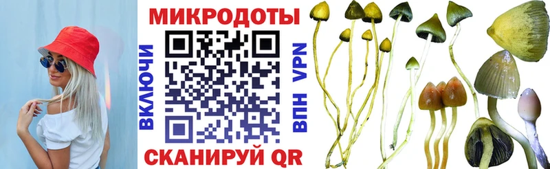 Галлюциногенные грибы Psilocybe  магазин    Добрянка 